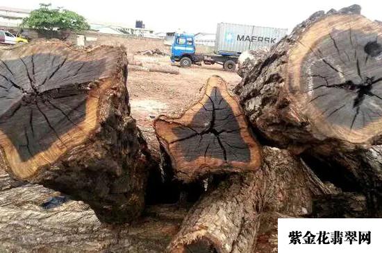 黑檀木寓意